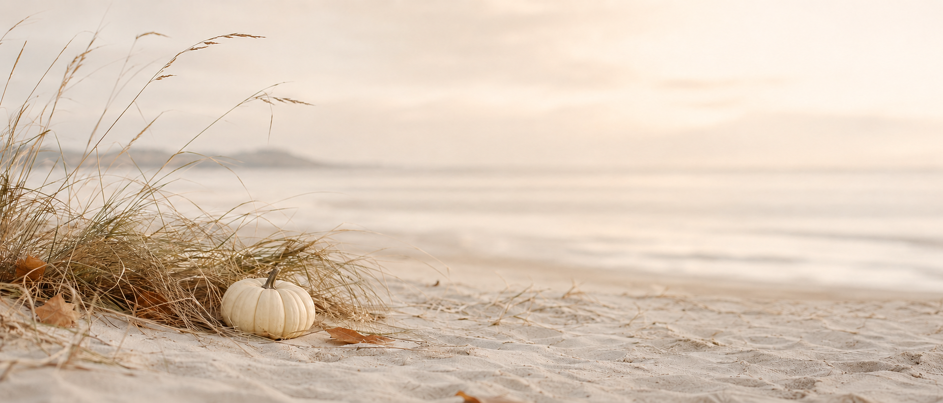 Fall Collection