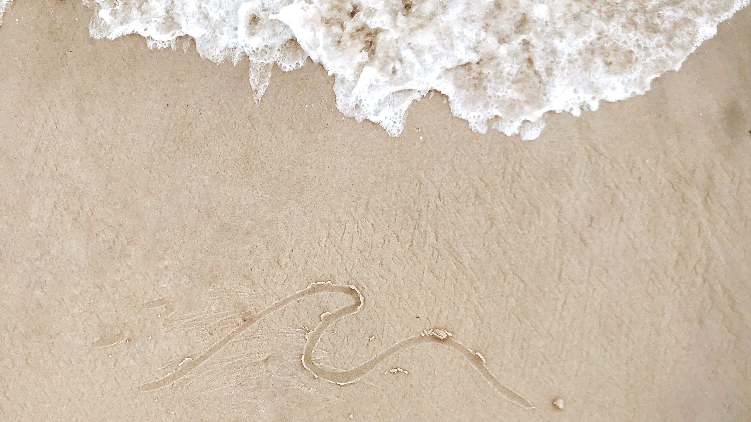 Aerial shoreline banner with sea foam meeting wet sand, used as the All Products collection image.