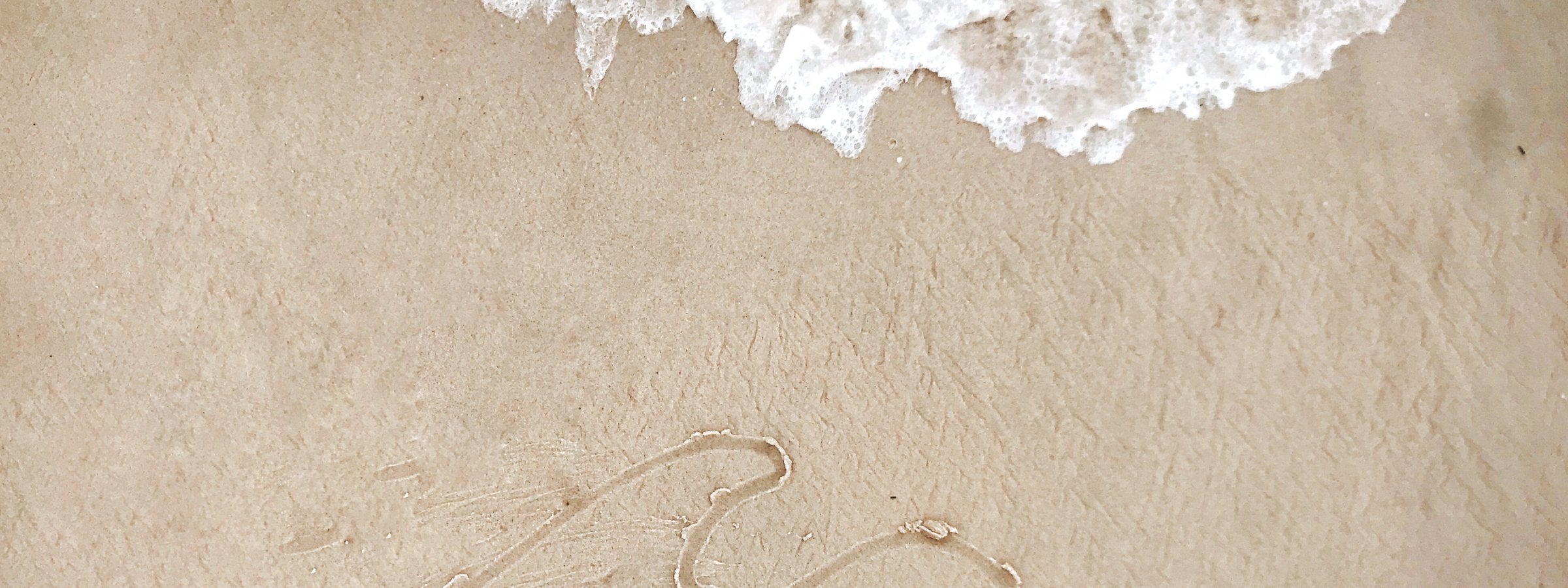 Aerial shoreline banner with sea foam meeting wet sand, used as the All Products collection image.