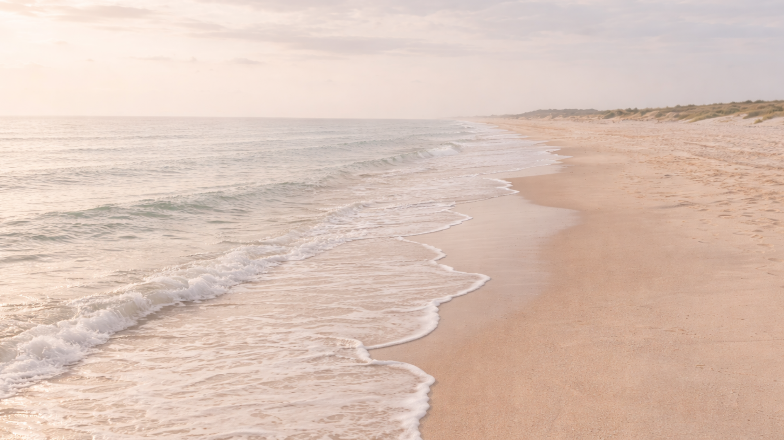 Coastal shoreline banner with soft waves washing onto sandy beach, used as the Botanical Wax Melts collection image.