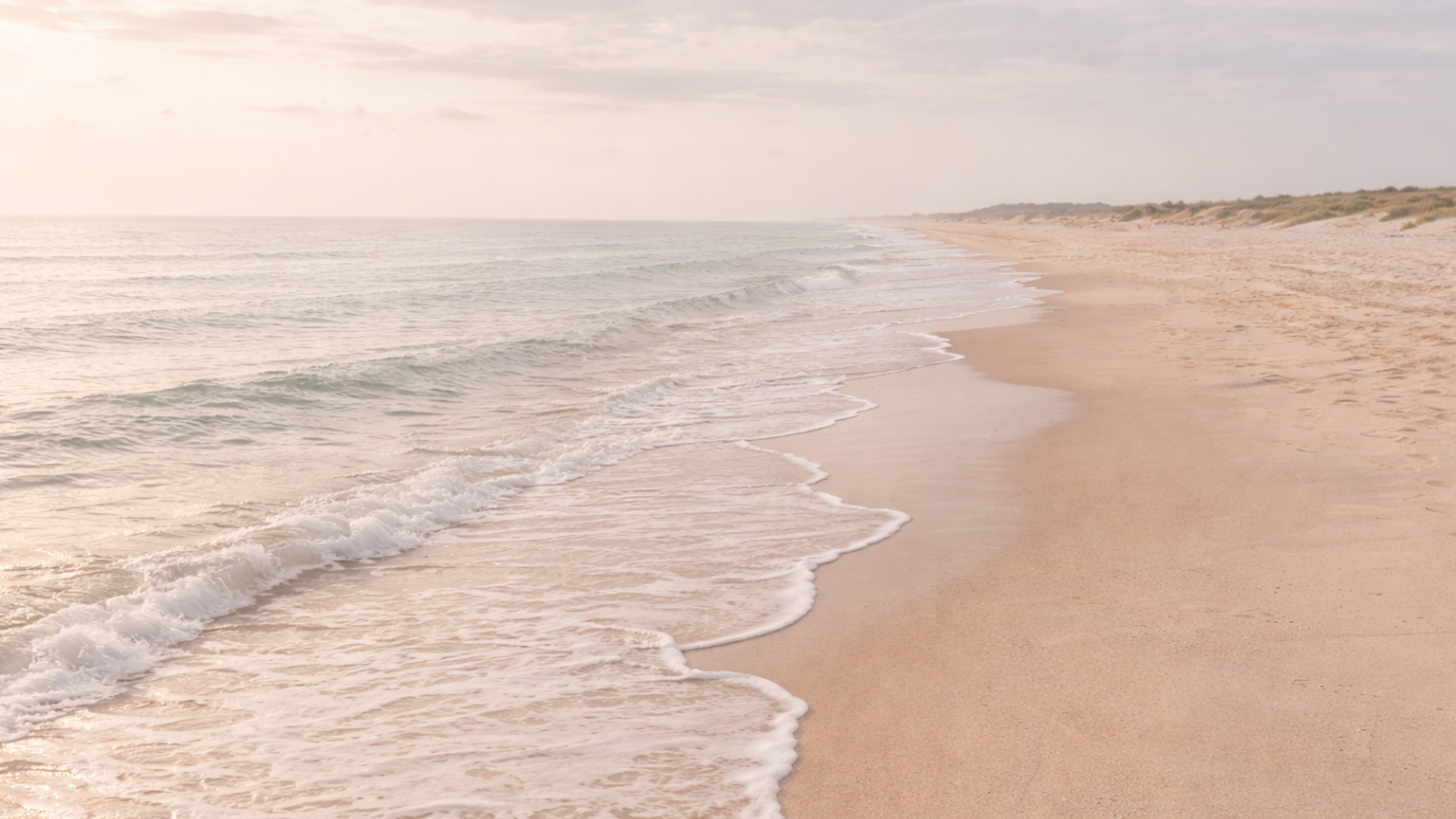 Coastal shoreline banner with soft waves washing onto sandy beach, used as the Botanical Wax Melts collection image.