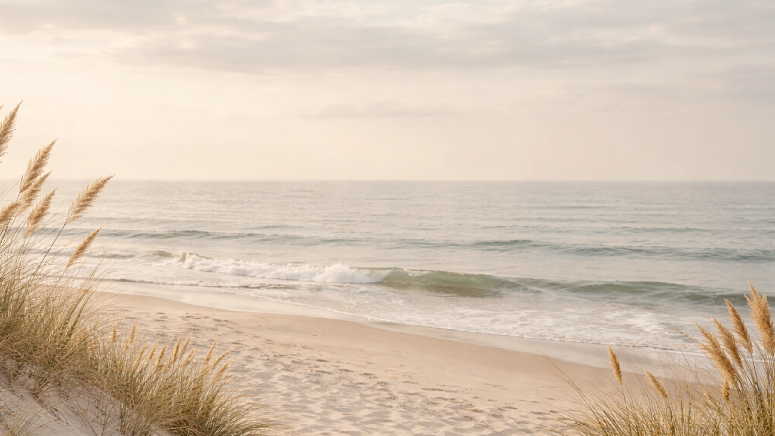 Soft coastal beach scene with dune grass, gentle ocean waves, and sandy shoreline used as the Signature Collection banner image.