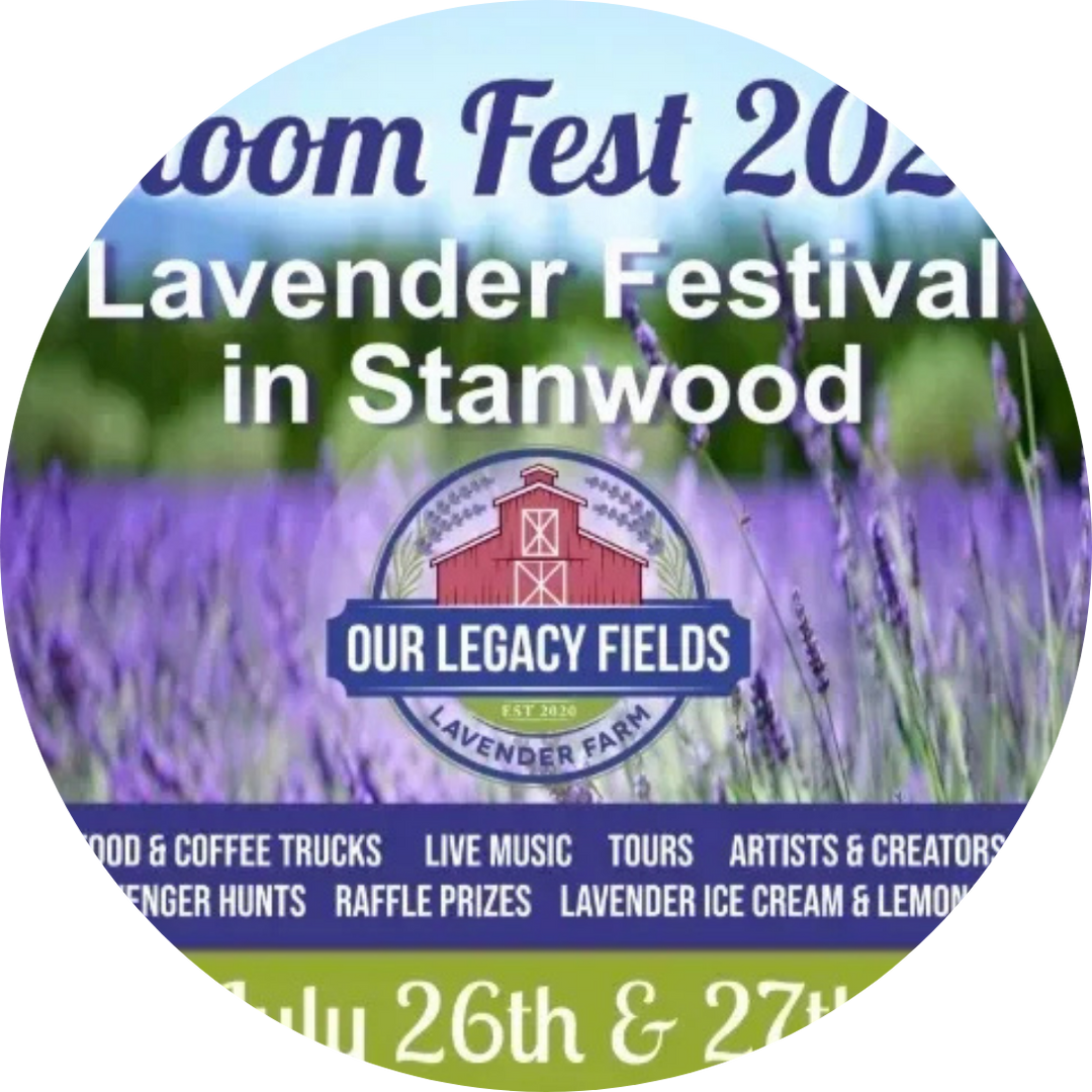 Bloom Fest Lavender Festival at Our Legacy Fields Lavender Farm in Stanwood