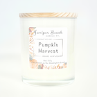 Pumpkin Harvest