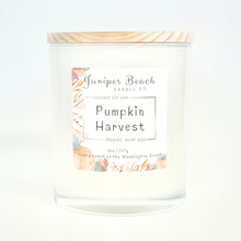 Pumpkin Harvest
