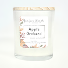 Apple Orchard