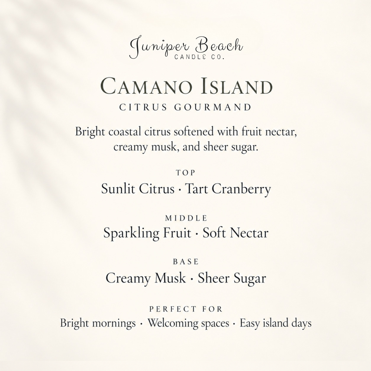 google-only | Camano Island candle scent profile
