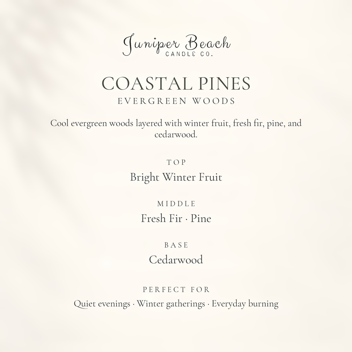 google-only | Coastal Pines candle scent profile