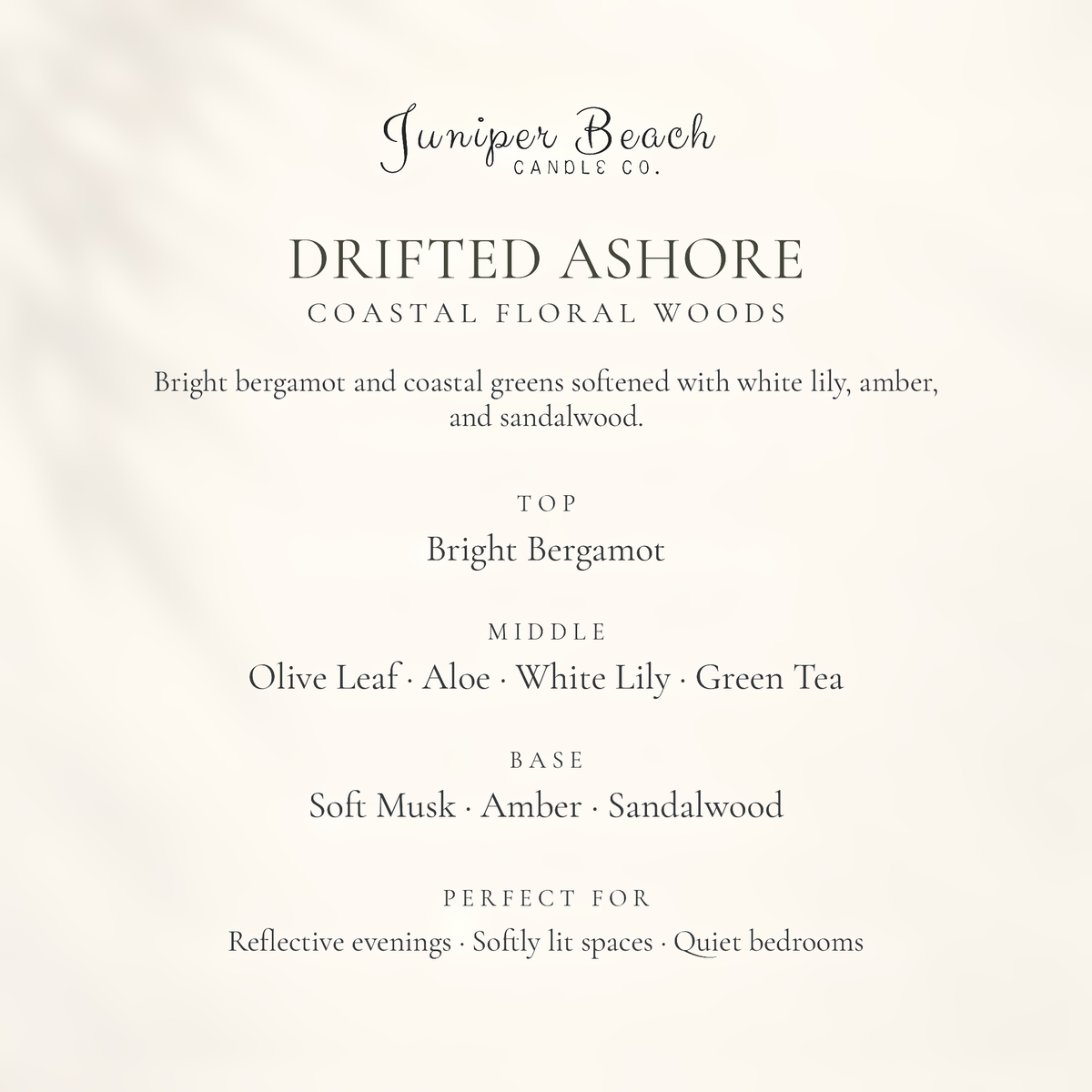 google-only | Drifted Ashore candle scent profile