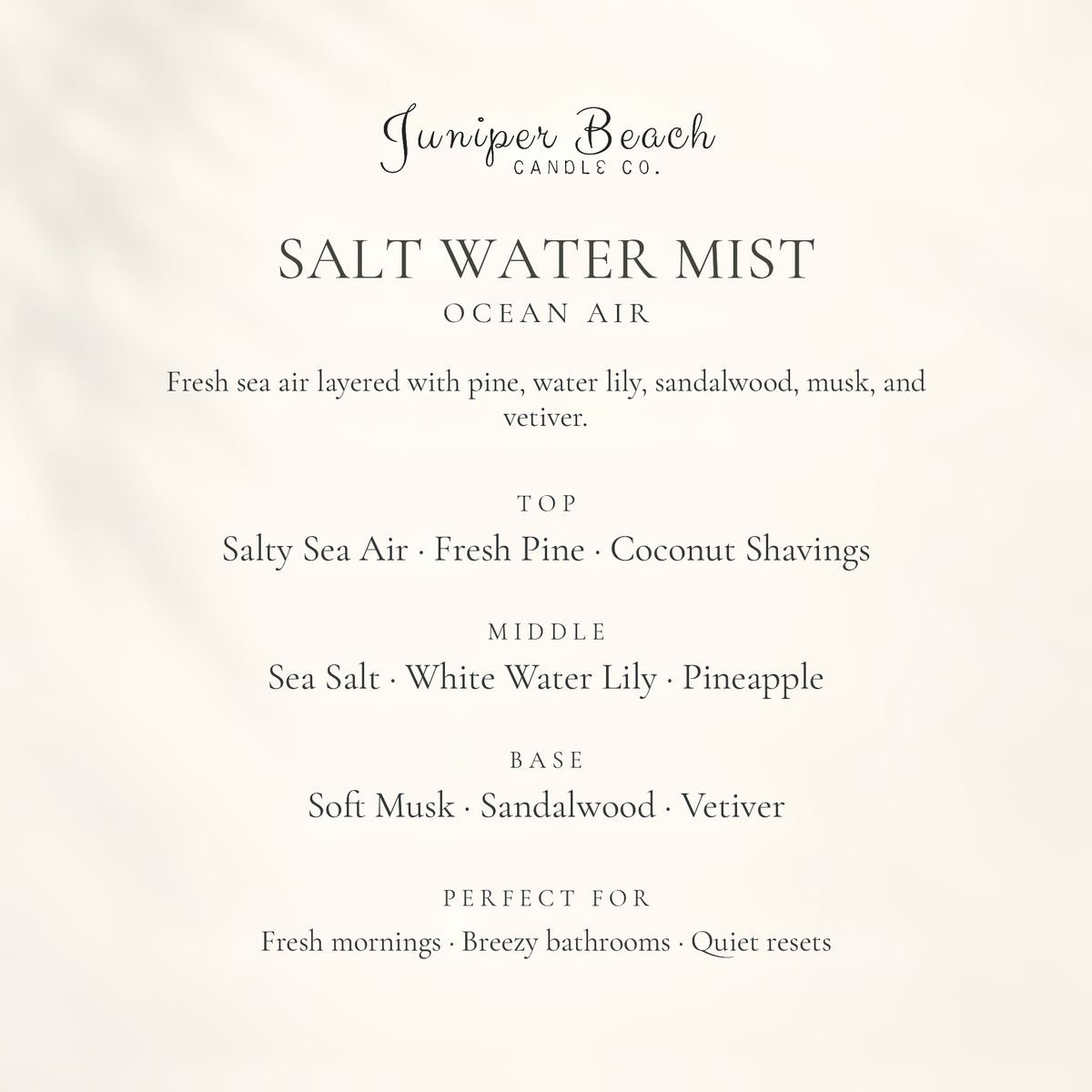 google-only | Salt Water Mist candle scent profile